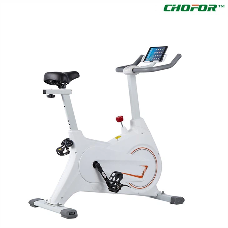 Magnetic Wheel Spin Bike