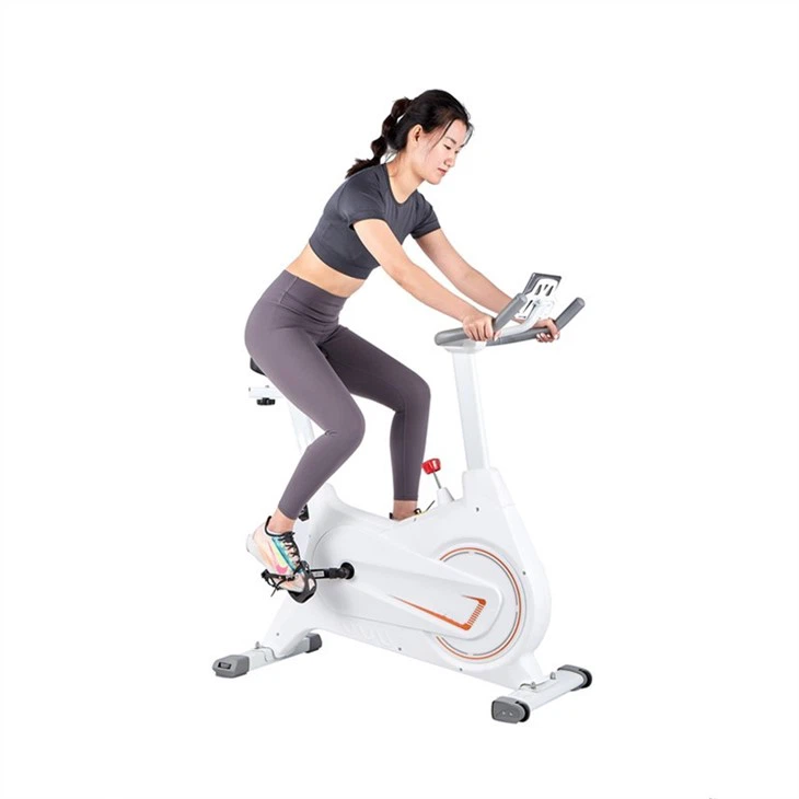 Magnetic Wheel Spin Bike